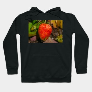 Strawberry Hoodie